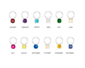 Birthstone Silver Single Hoop Charm