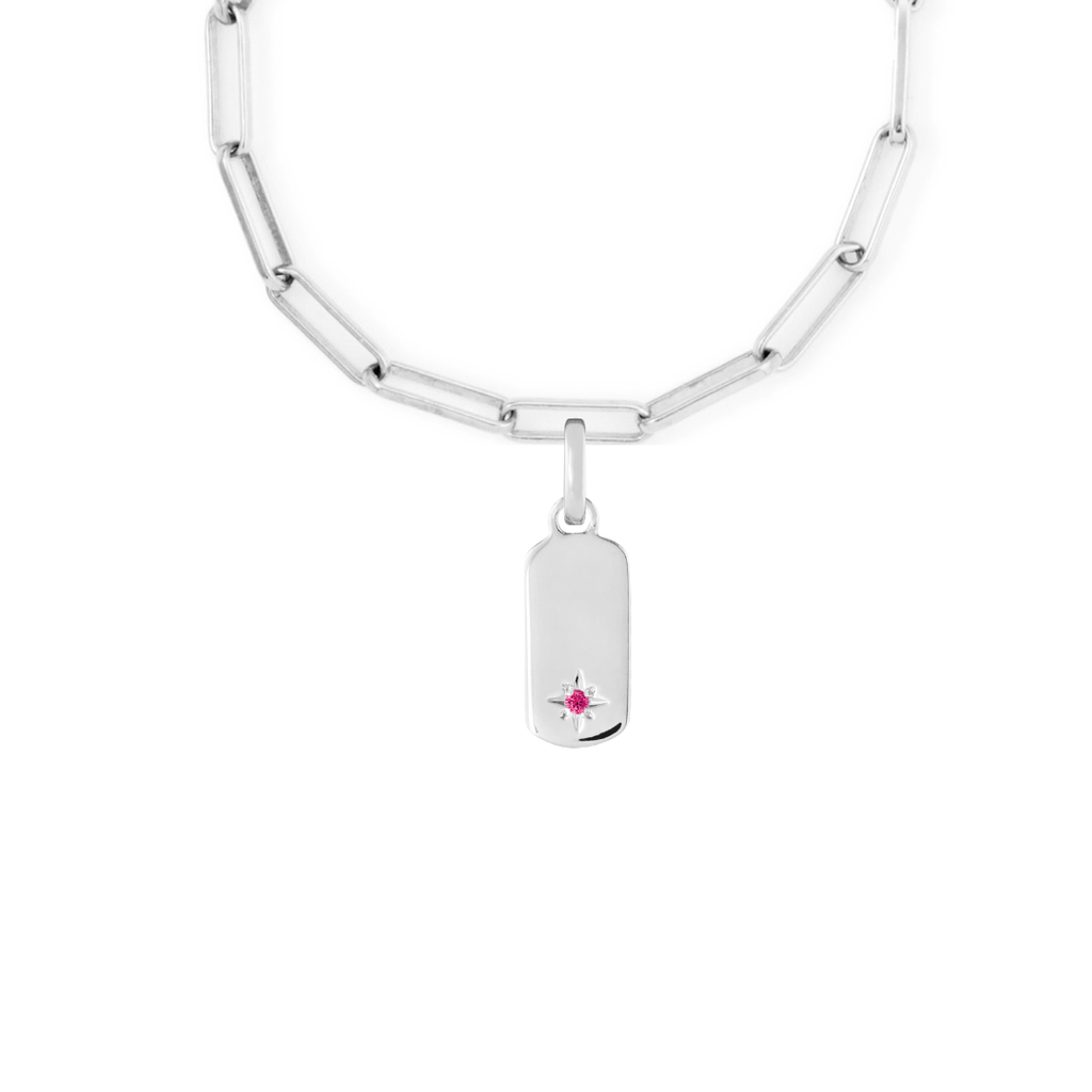 Birthstone Tag Silver Clip Charm