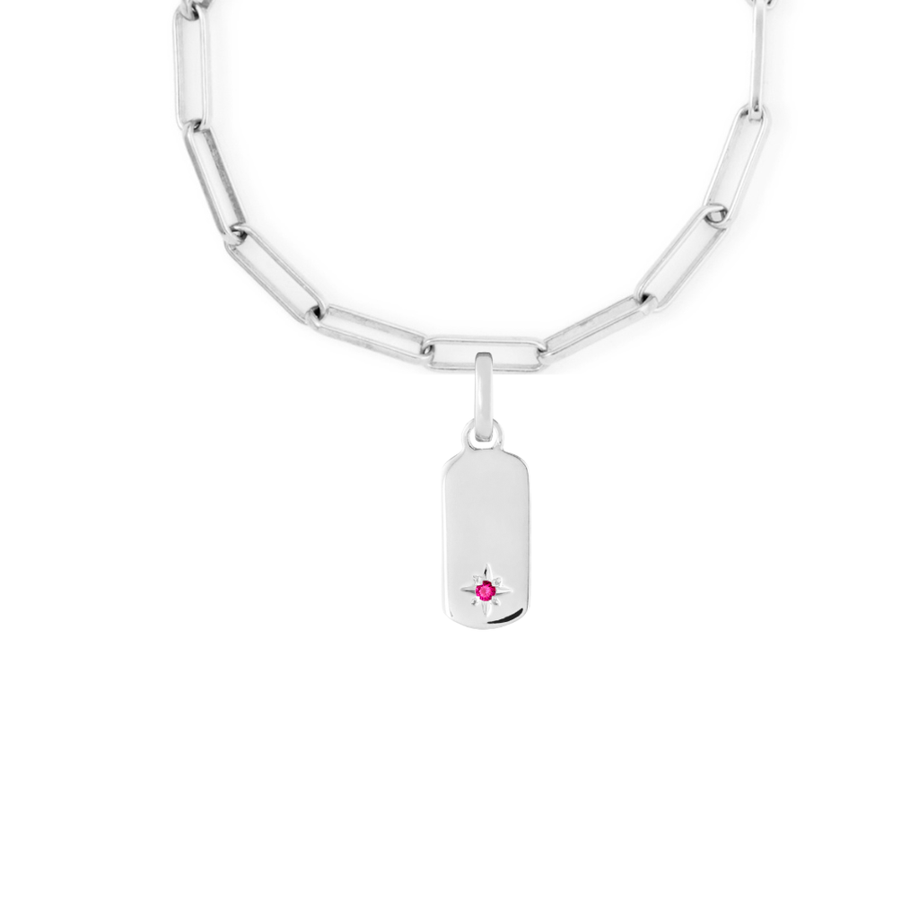 Birthstone Tag Silver Clip Charm