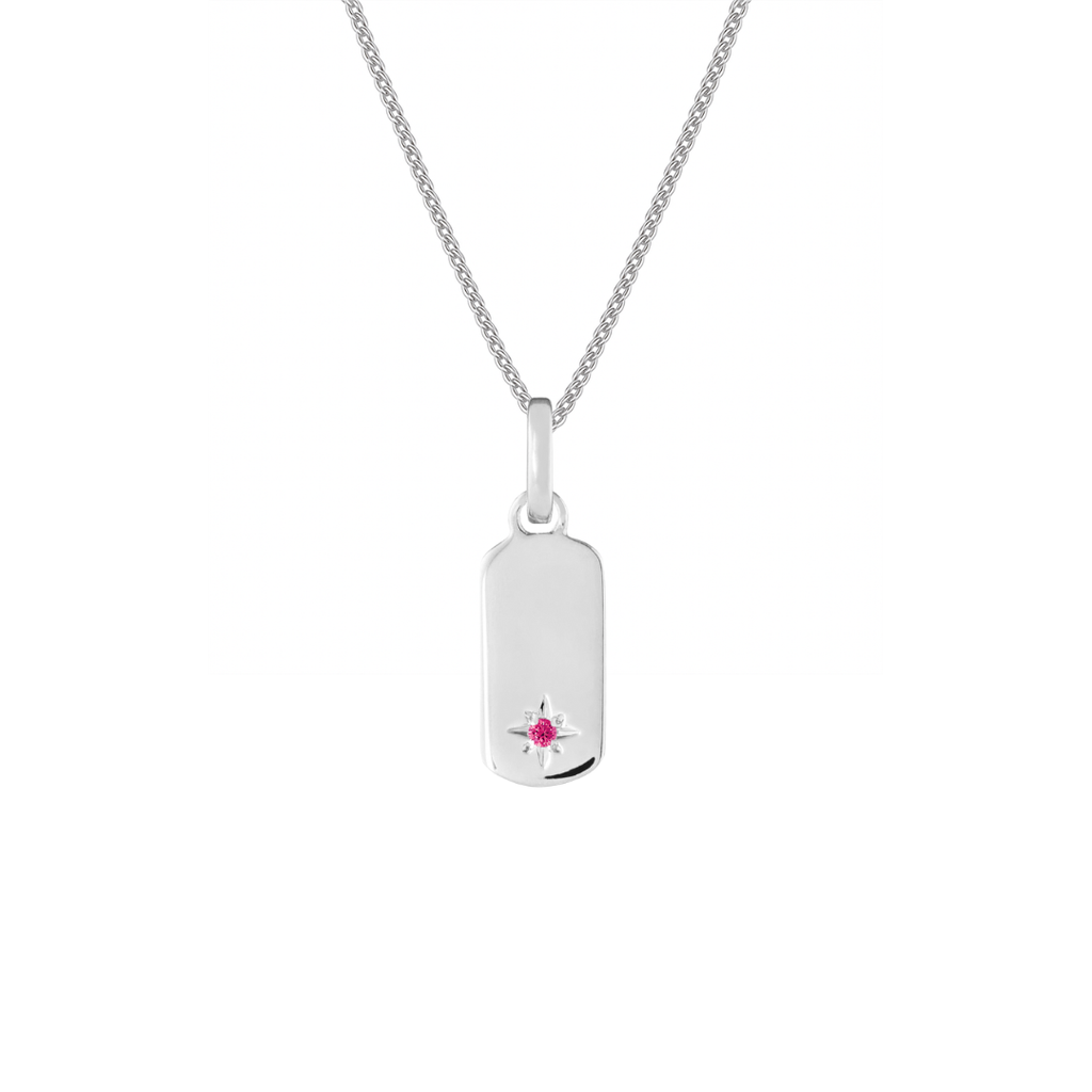 Birthstone Tag Silver Clip Charm