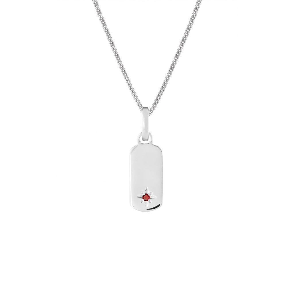 Birthstone Tag Silver Clip Charm