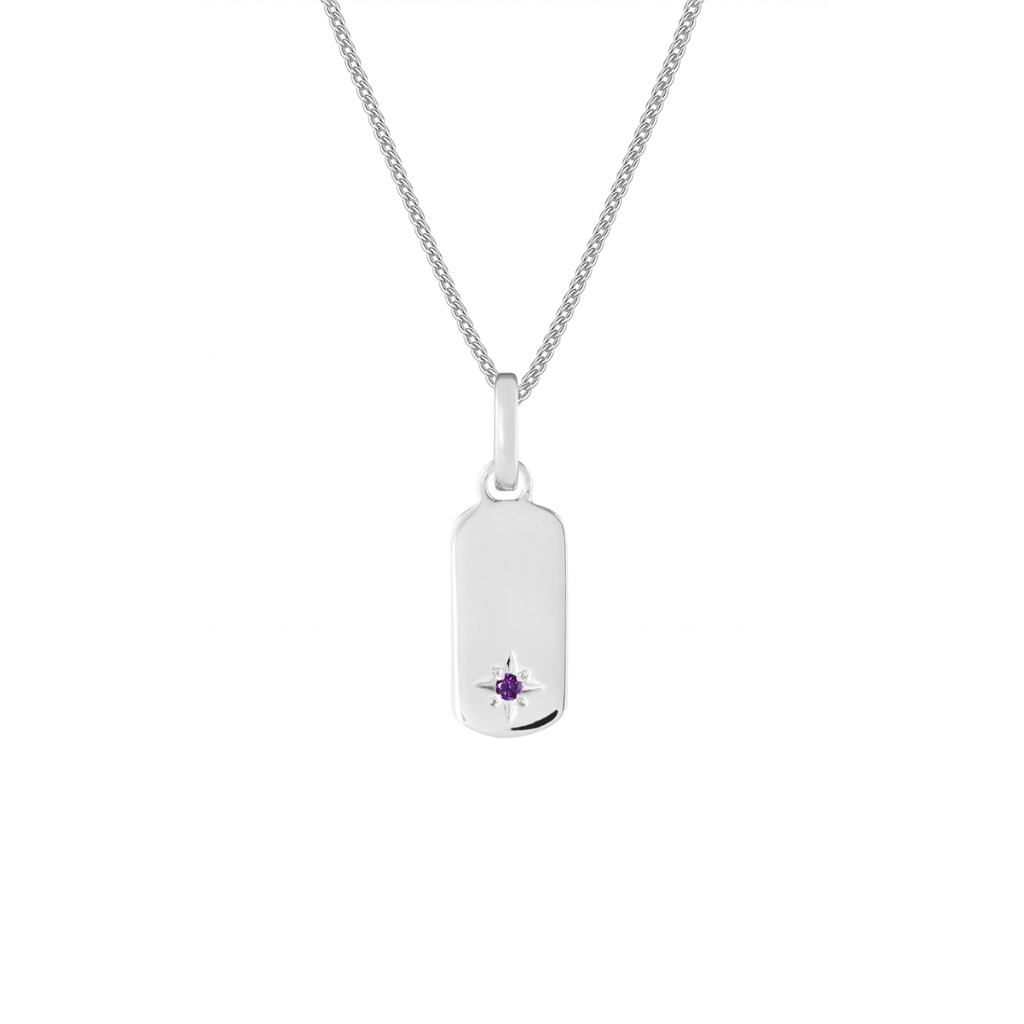 Birthstone Tag Silver Clip Charm