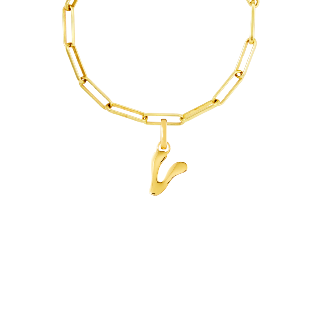 Gold Plated Clip Charm Starter Set