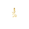 Capricorn 9ct Gold Charm