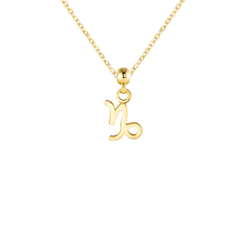 Capricorn Gold Plated Charm