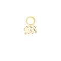 Aquarius Gold Single Hoop Charm