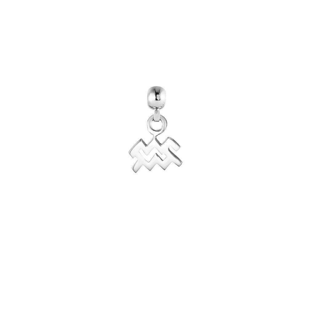 Aquarius Silver Charm