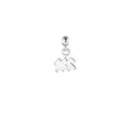 Aquarius Silver Charm