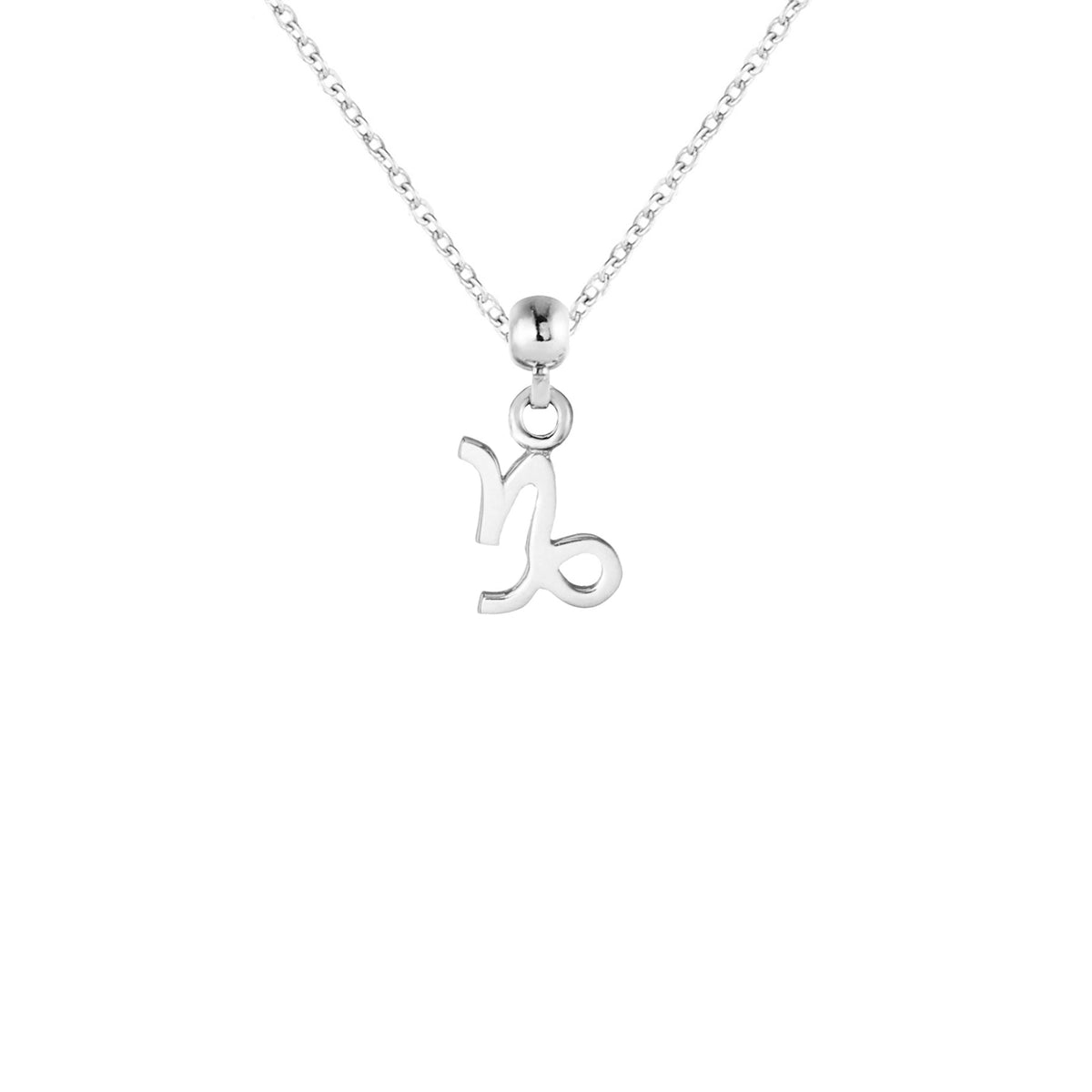 Capricorn Silver Charm