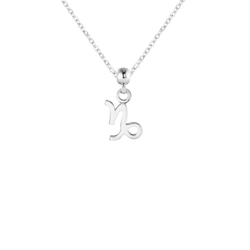 Capricorn Silver Charm