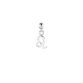 Leo Silver Charm