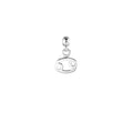 Cancer Silver Charm