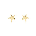 Tiny Starfish Studs