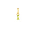August Birthstone Gold Plated Clip Charm