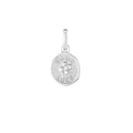 Good Luck Silver Clip Charm