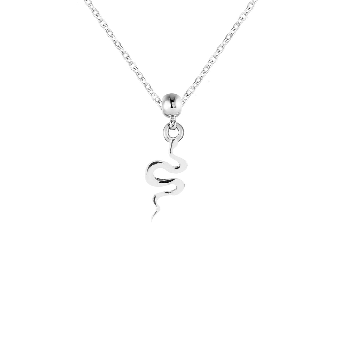 Snake Silver Charm