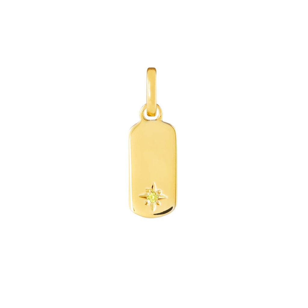 Birthstone Tag Gold Plated Clip Charms