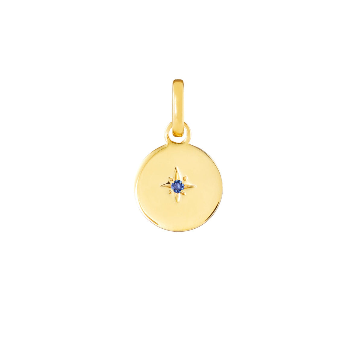 Birthstone Disk Gold Plated Clip Charm